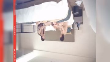 横扫全国酒店约美女双胞胎偷拍约了双胞胎美女姐妹花双飞