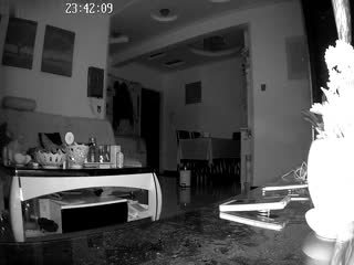 黑客破解家庭网络摄像头云视通远程遥控偷拍小哥在客厅沙发和模特身材媳妇啪啪下面毛毛很是性感