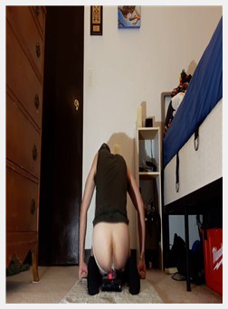 假阳具狗发呆壮举。 埃拉塞克斯