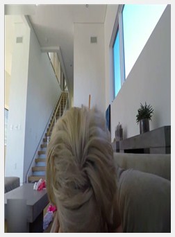 艾米莉亚·克拉克艾美莉·克拉克Deepfake POV